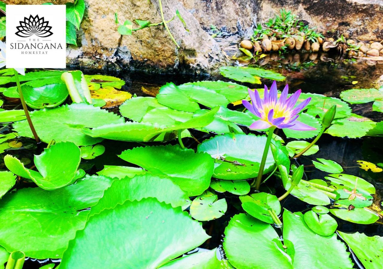 Sidhangana Home Stay Anuradhapura Exterior foto